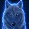 foxwolf77